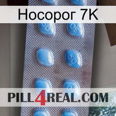 Носорог 7K viagra3